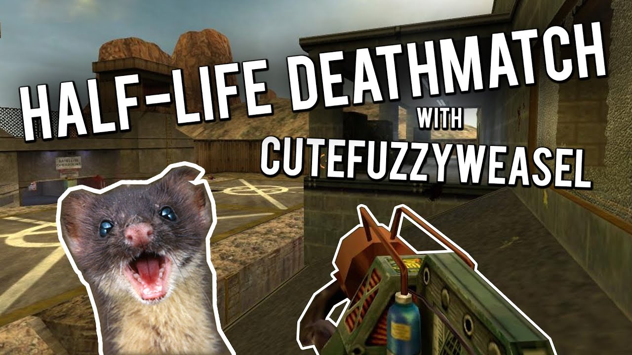 WEASEL vs WEASEL - Half-Life Deathmatch with CuteFuzzyWeasel