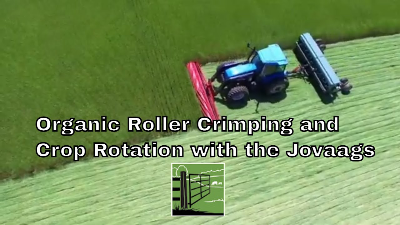Organic Roller Crimping and Crop Rotation with Jovaags