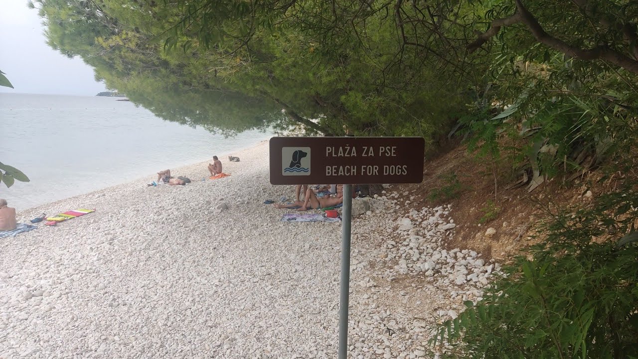 BEACH FOR DOGS/PLAŽA ZA PSE Gradac 19.08.2022.