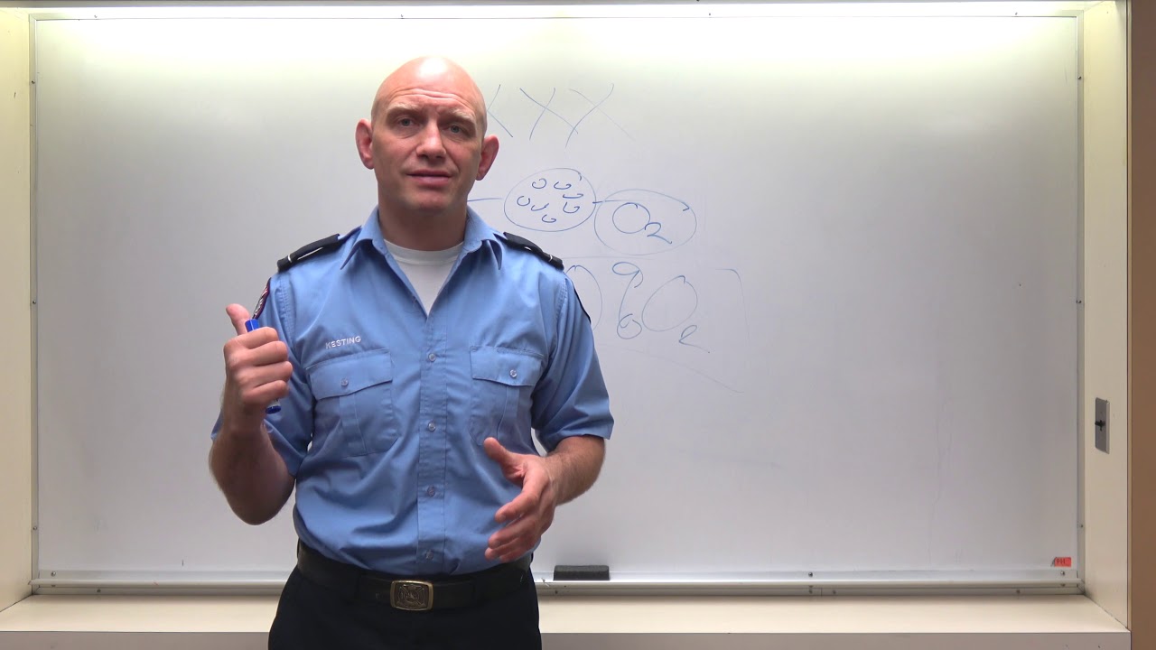 MSA Altair 4 Gas - What You Need to Know