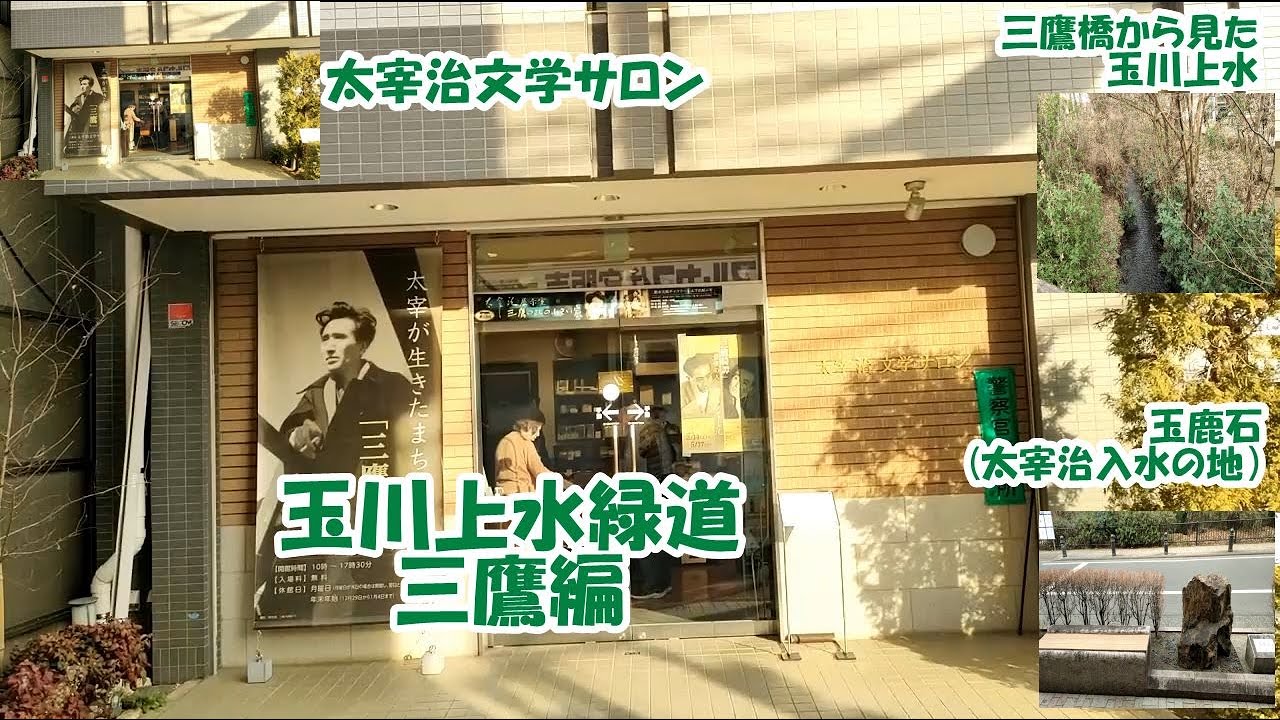 【玉川上水緑道　三鷹編1】毎月恒例玉川上水緑道シリーズ、第7弾　今回は文豪太宰治の足跡をたどりながら、多摩川上水緑道を歩きます　その1