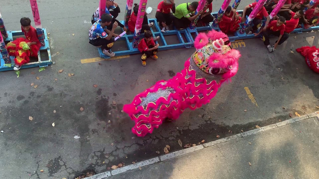 Yick Nam Lion Dance 2019
