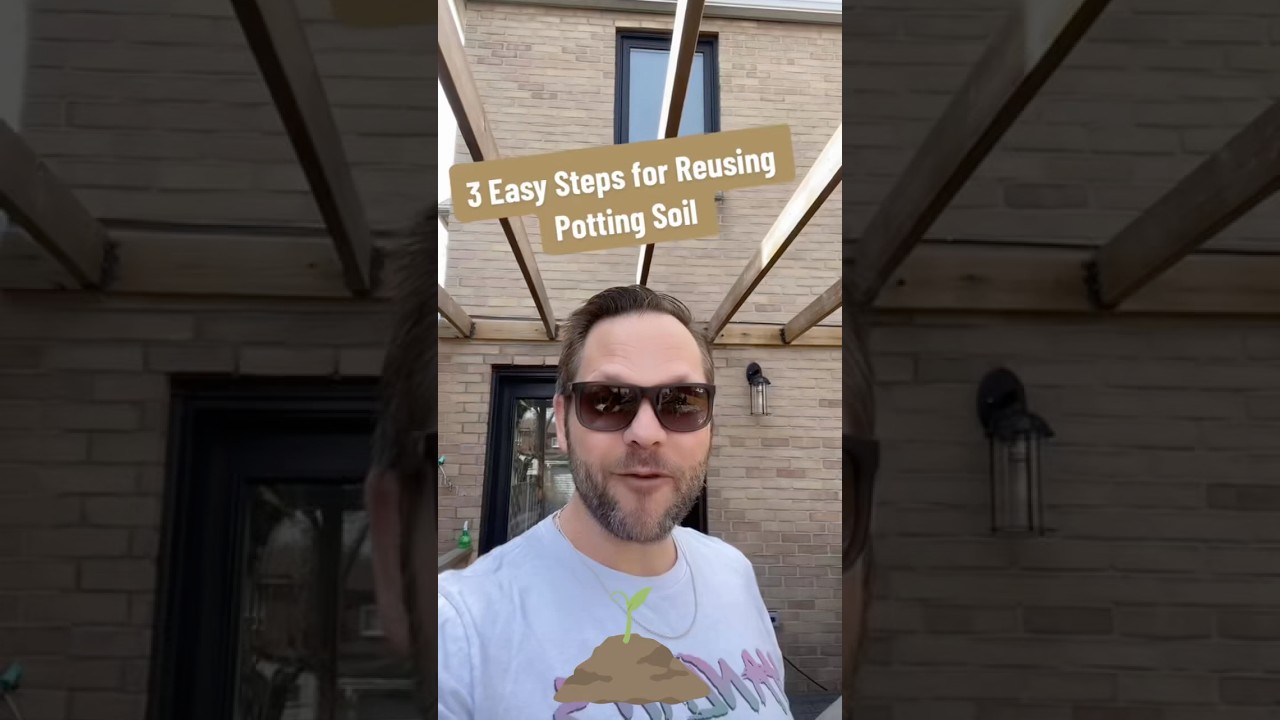 How to reuse your old potting soil #gardeningtips #containergardening