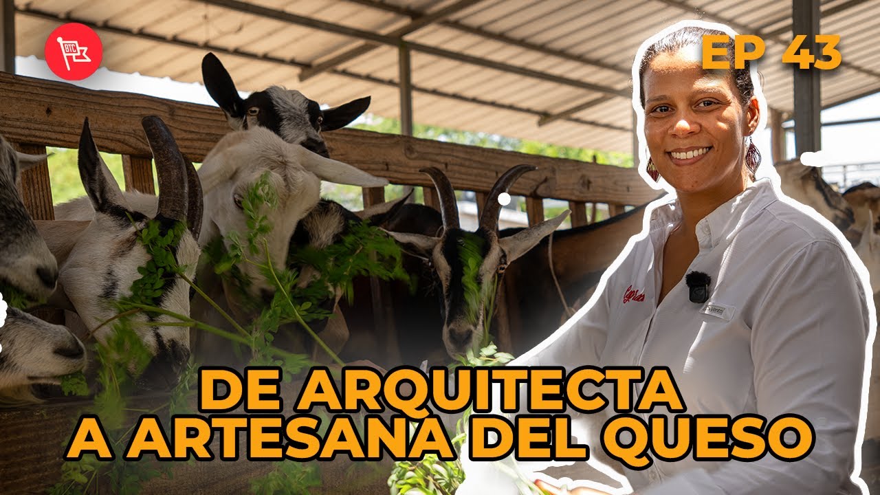 COMO SE HACE QUESO DE CABRA EN RD :  CAPRACHE