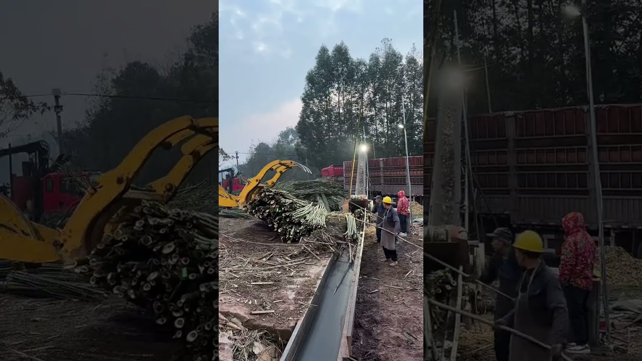 I bet you’ve NEVER seen wood processed this way... 🛠️