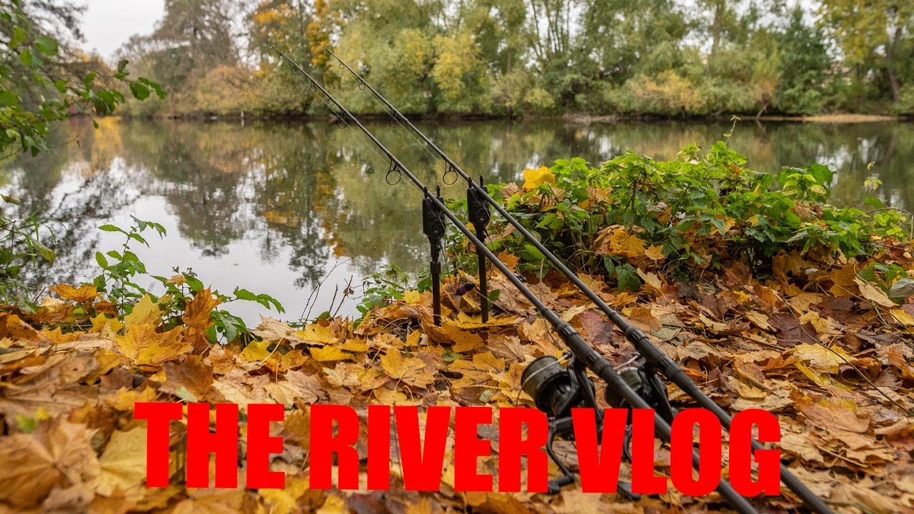 Karpfenangeln im Herbst I The RiverVlog Folge 32