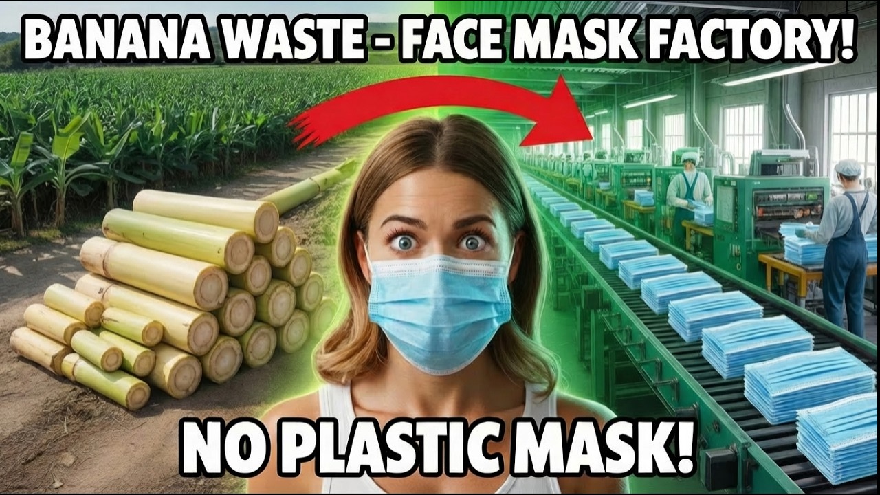 Banana Stem to Face Masks – Full Factory Process 🌿 Relaxing Silent ASMR (No Talking)