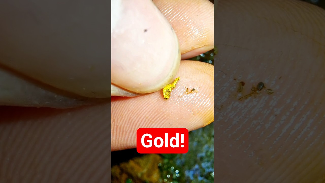 3h Goldwaschen in Deutschland! Wie viel Gold habe ich gefunden?! 🤔😁 #goldsuchen #outdoor #golddoktor