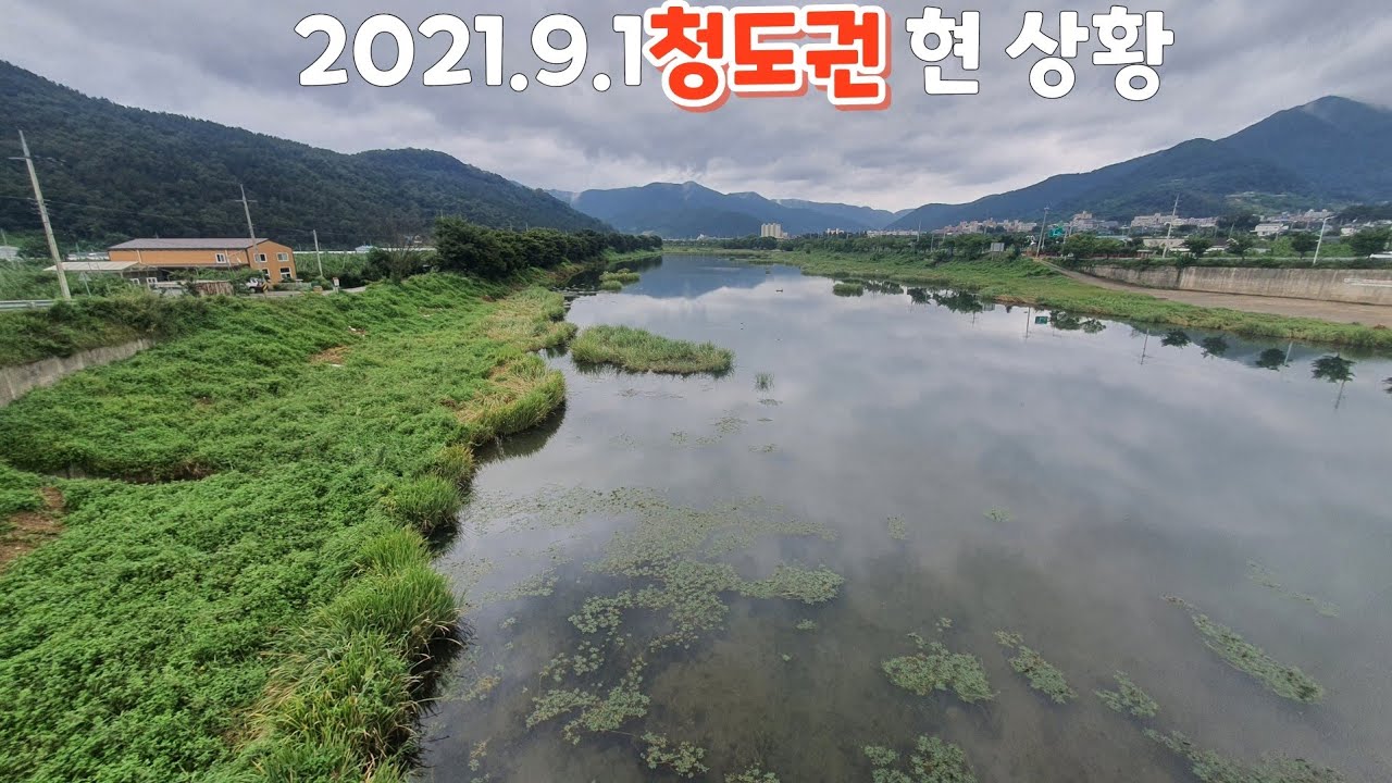 2021.9.1 혼신지.부야지.용곡지.청도천상황