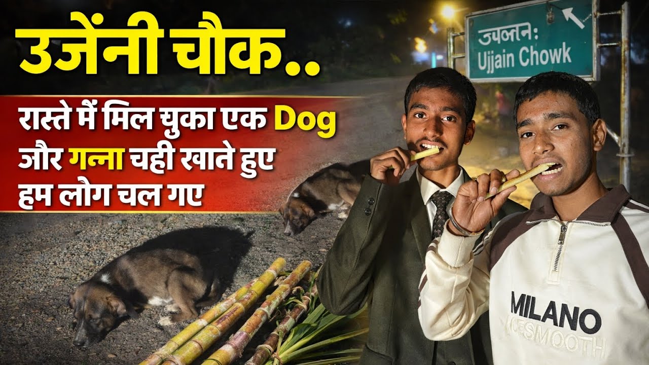 रास्ते में अचानक मिला Dog और गन्ना | उजैनी चौक की सच्ची घटना
