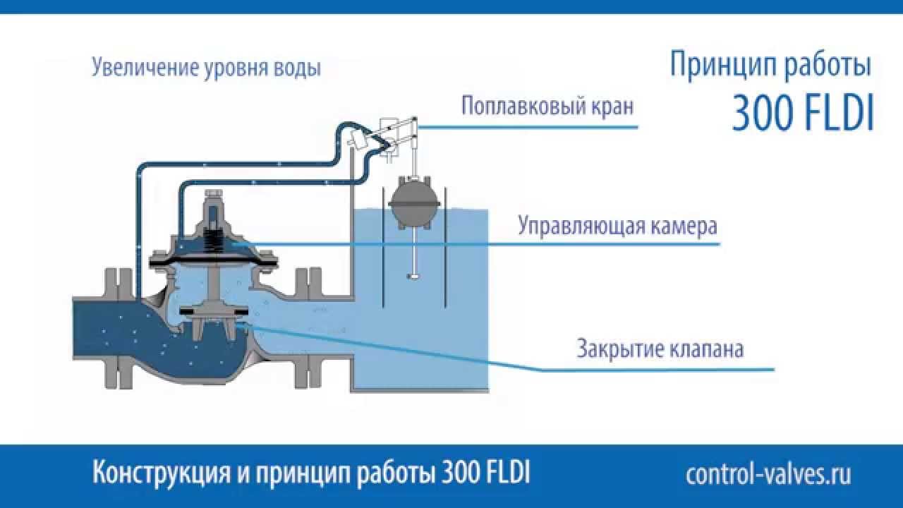 300 FLDI Dorot