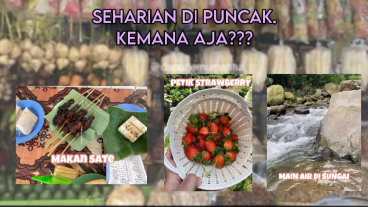 SEHARIAN DI PUNCAK. TANPA NGINEP. KEMANA SAJA?? | Dapur Lemu Mantul