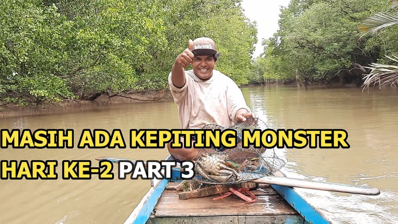 MENANGKAP KEPITING BAKAU MENGGUNAKAN PERANGKAP BUBU HARI KE-2 PART 3