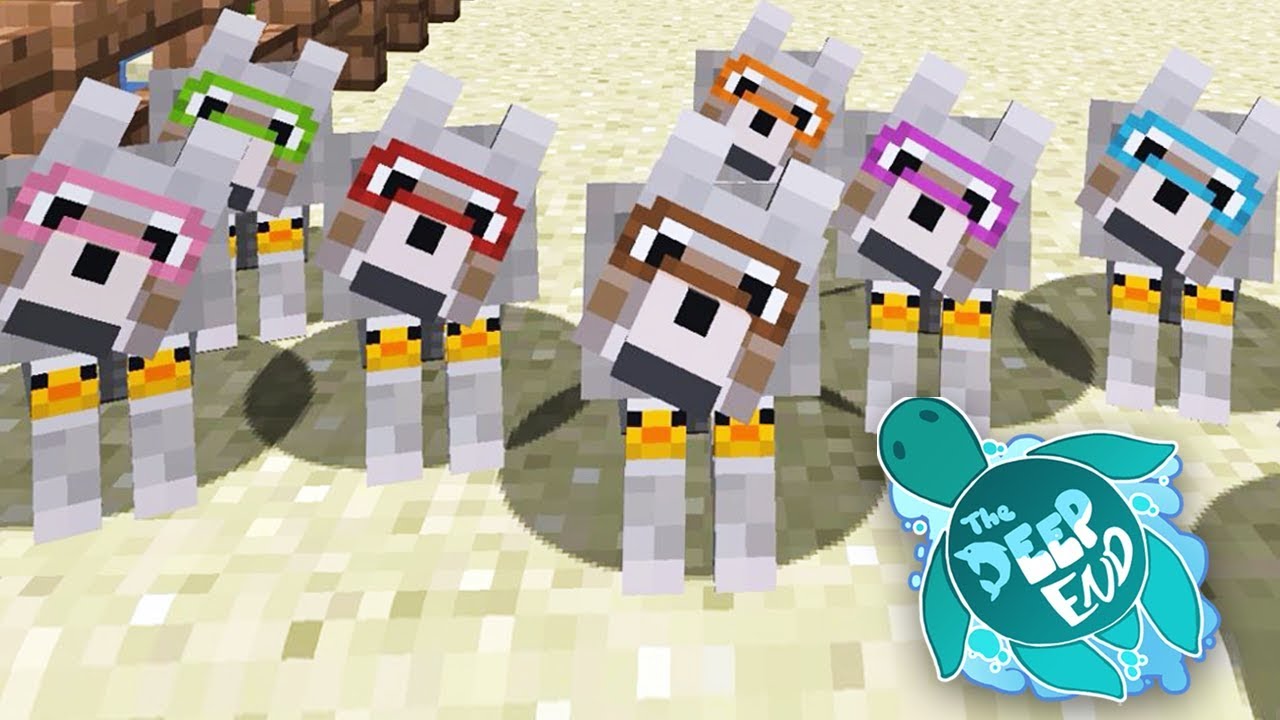 The Swim Squad - The Deep End Minecraft SMP