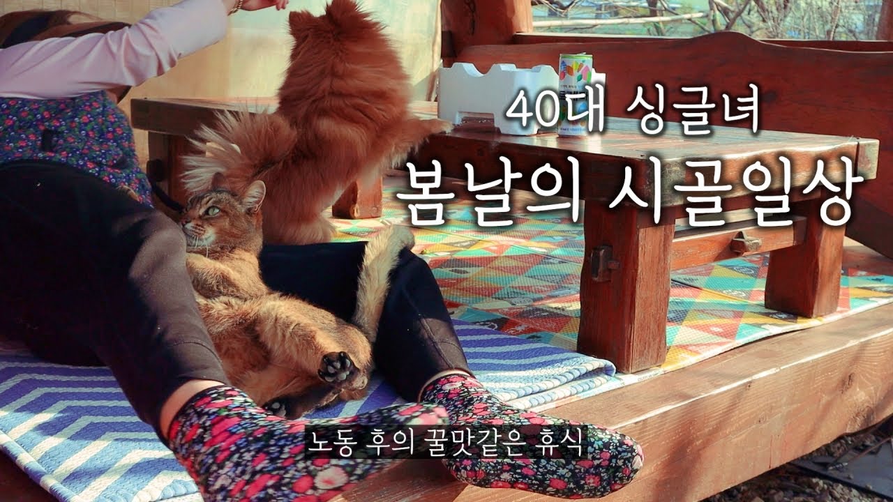 싱글녀의 시골일상ㅣ이 좋은 봄날에 시골여자는 무엇을 할까