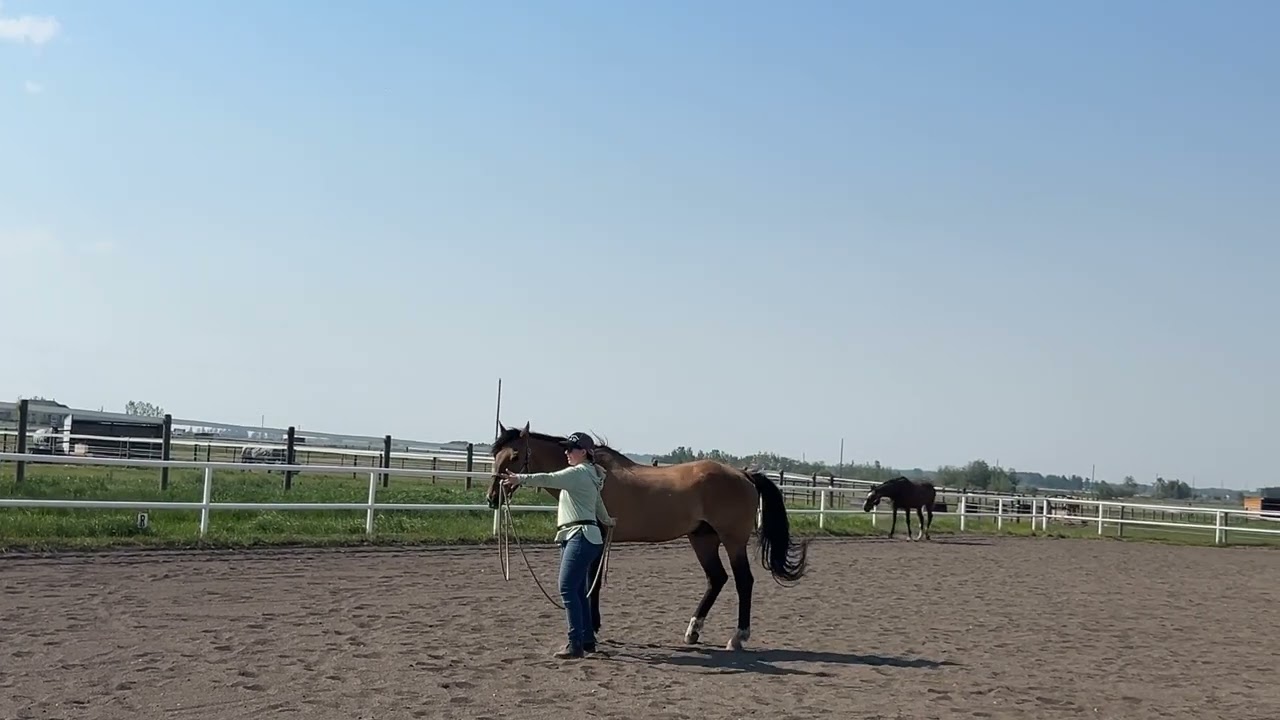 Spyro and Woodstock Practice Jun 9