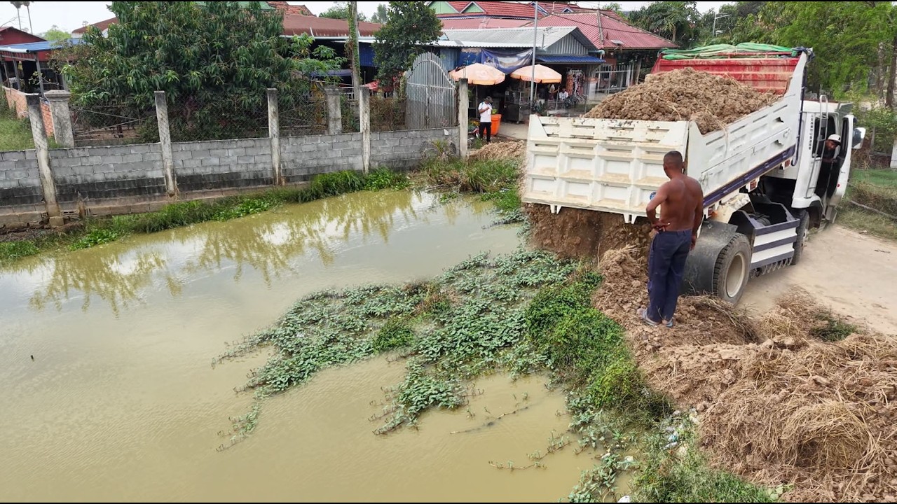 The Best Action New Project!Using Truck Loading Fill  Soil Flood In village,Dozer D20P Pushing Soil 