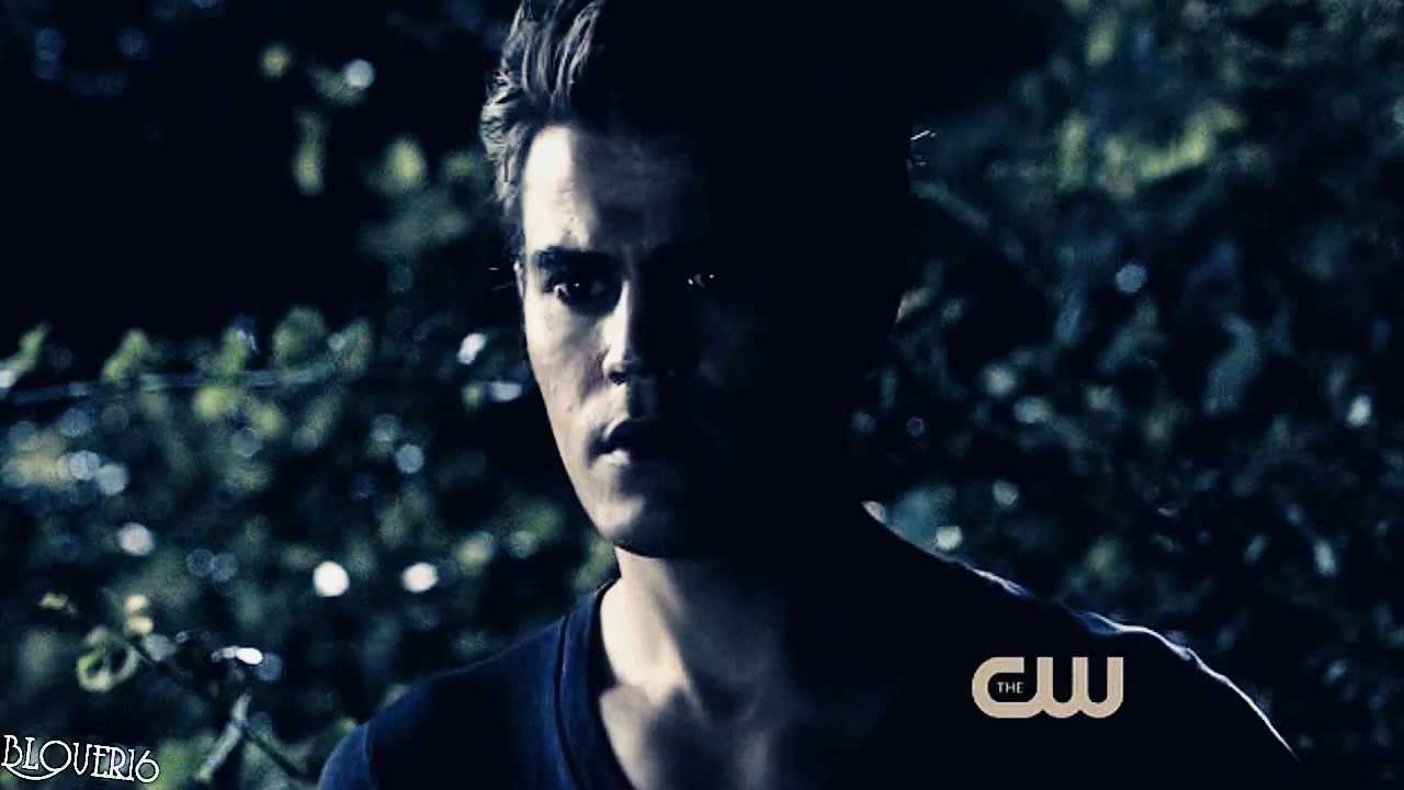 Stefan and Elena (Endlessly)