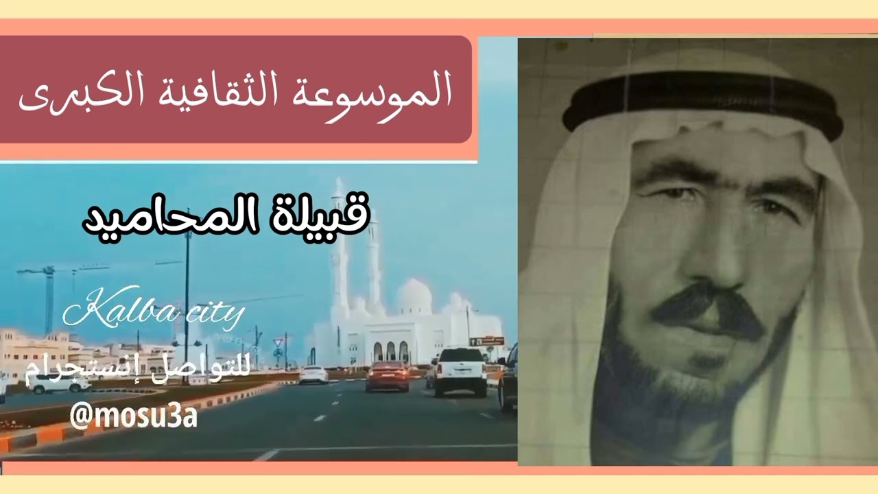 قبيلة المحاميد.. الأصول والتاريخ