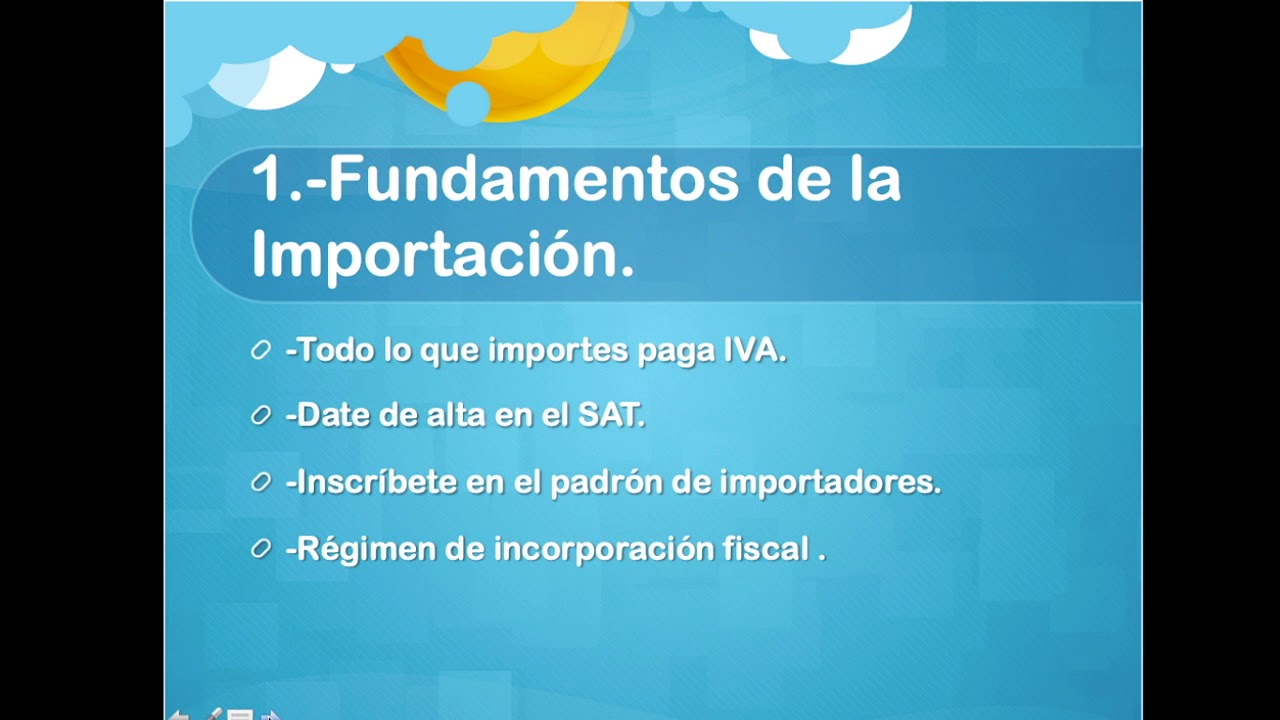 Modulo 1.- Fundamentos de la importaci&oacute;n, Lecci&oacute;n 1.- &iquest;C&oacute;mo funciona la aduana?
