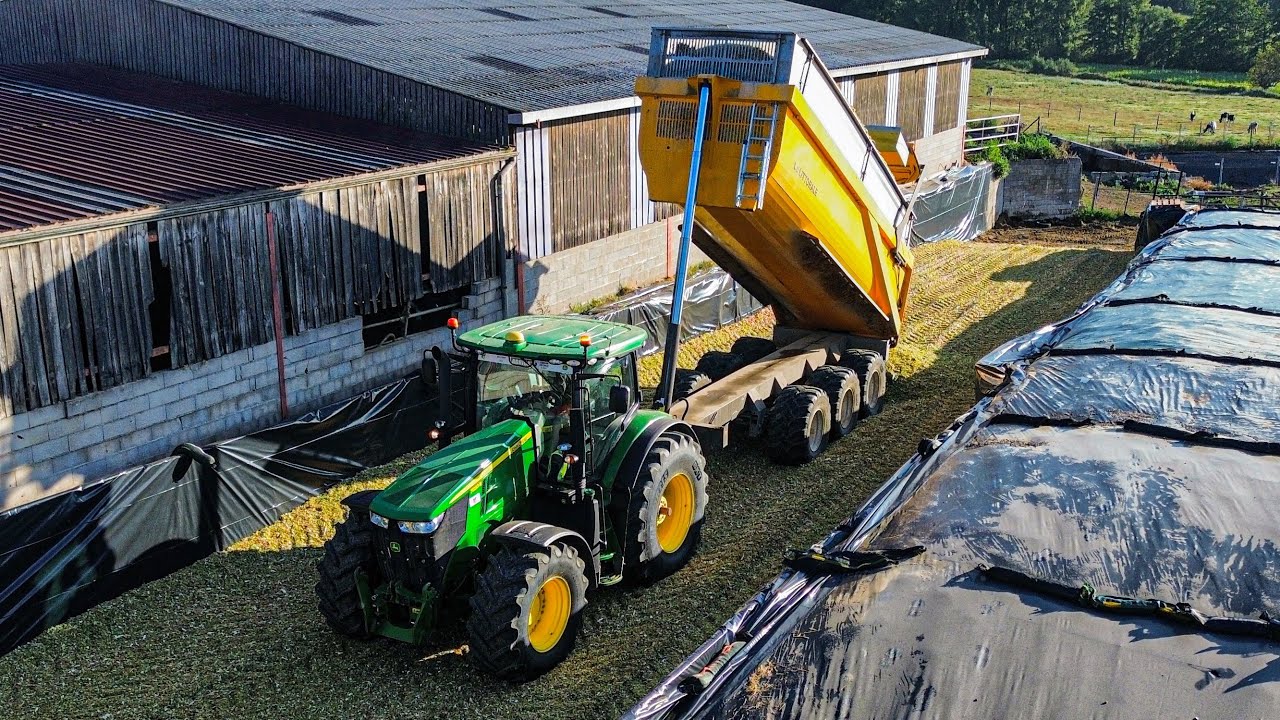 🌽 ENSILAGE  DE MAÏS  2024