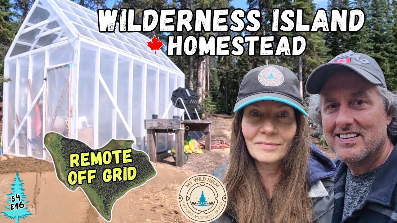 Off Grid Life on Our Remote Island | Couple Builds a Homestead