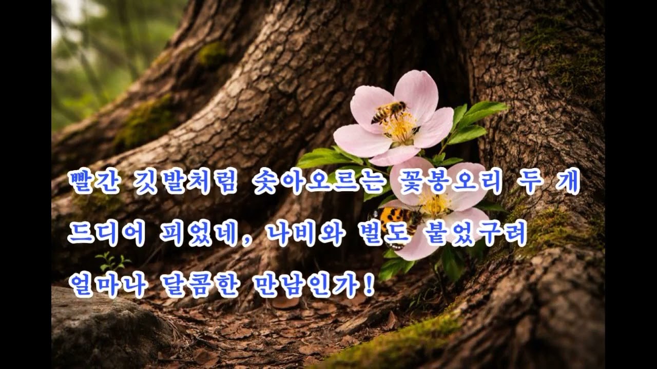 초라한 고목에 피어난 꽃송이