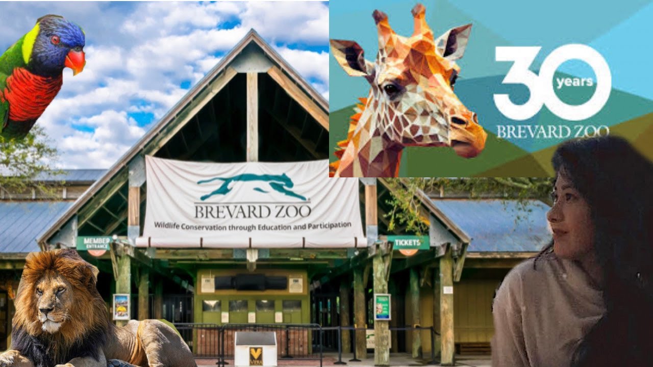 Vlogmas 2024 at the Brevard zoo FL