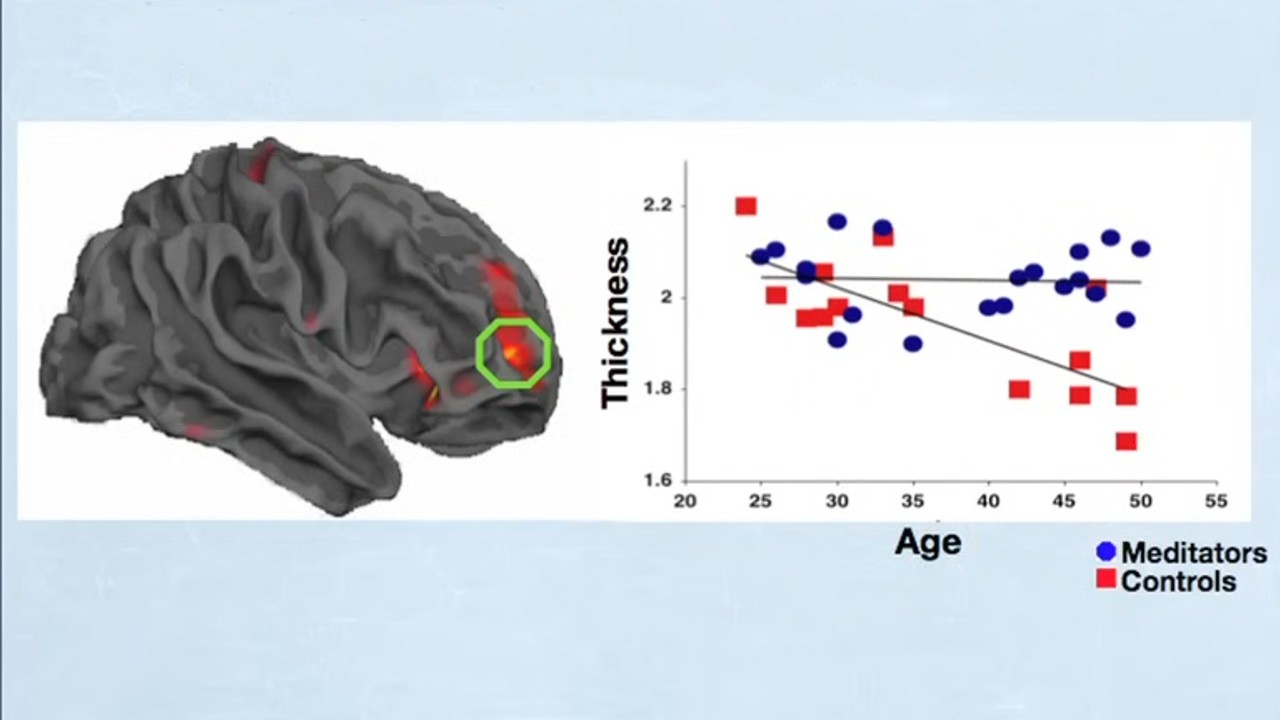 How meditation can change your life (Backed by Science!)
