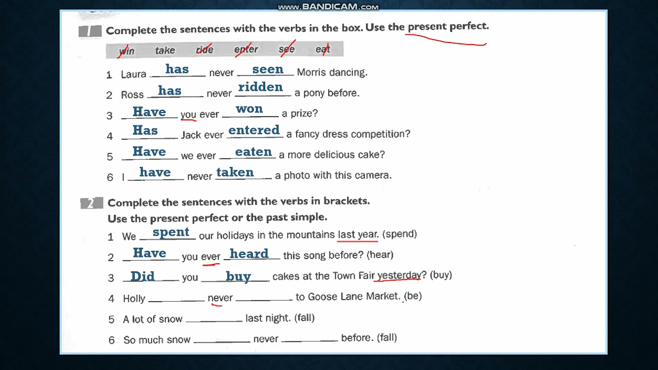 English World 7 / Unit 10 / WB : 88