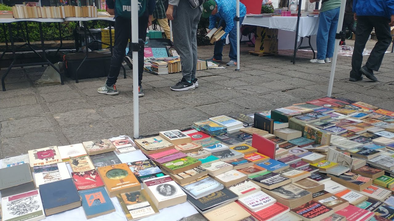 Plaza de San Fernando - El Mercado de Libros Usados más grande de México 📚
