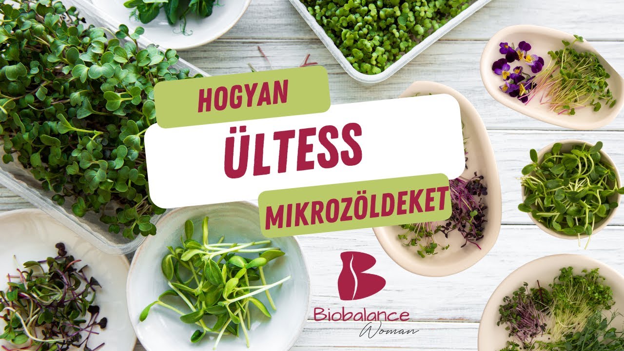 Mikrozöldek ültetése, nevelése otthon, egyszerűen
