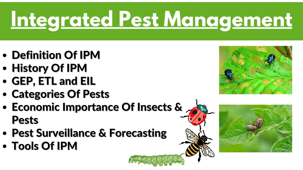 Integrated Pest Management B.Sc. (Hons.) Agriculture | IPM | ETL | EIL |