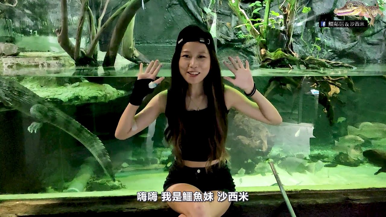 危險任務！在四隻鱷魚包圍下如何完成？