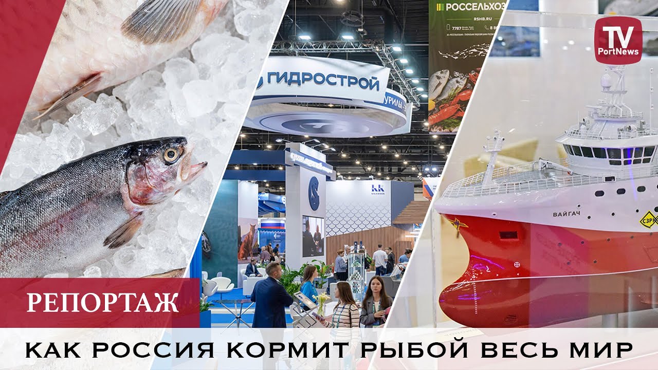 Как Россия кормит рыбой весь мир ǀ Новые суда для рыбопромышленной отрасли