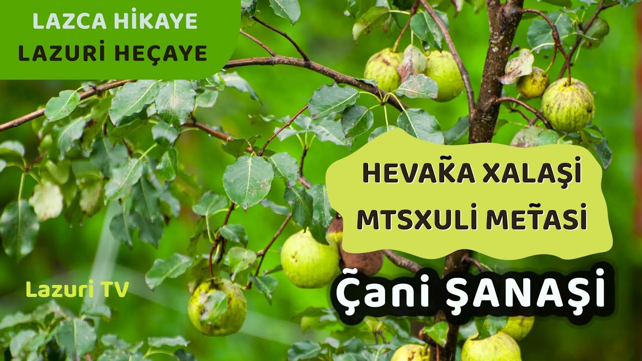 Lazca Bir Hikaye - Hevaka Xalaşi - Çani Şanaşi - Lazuri TV