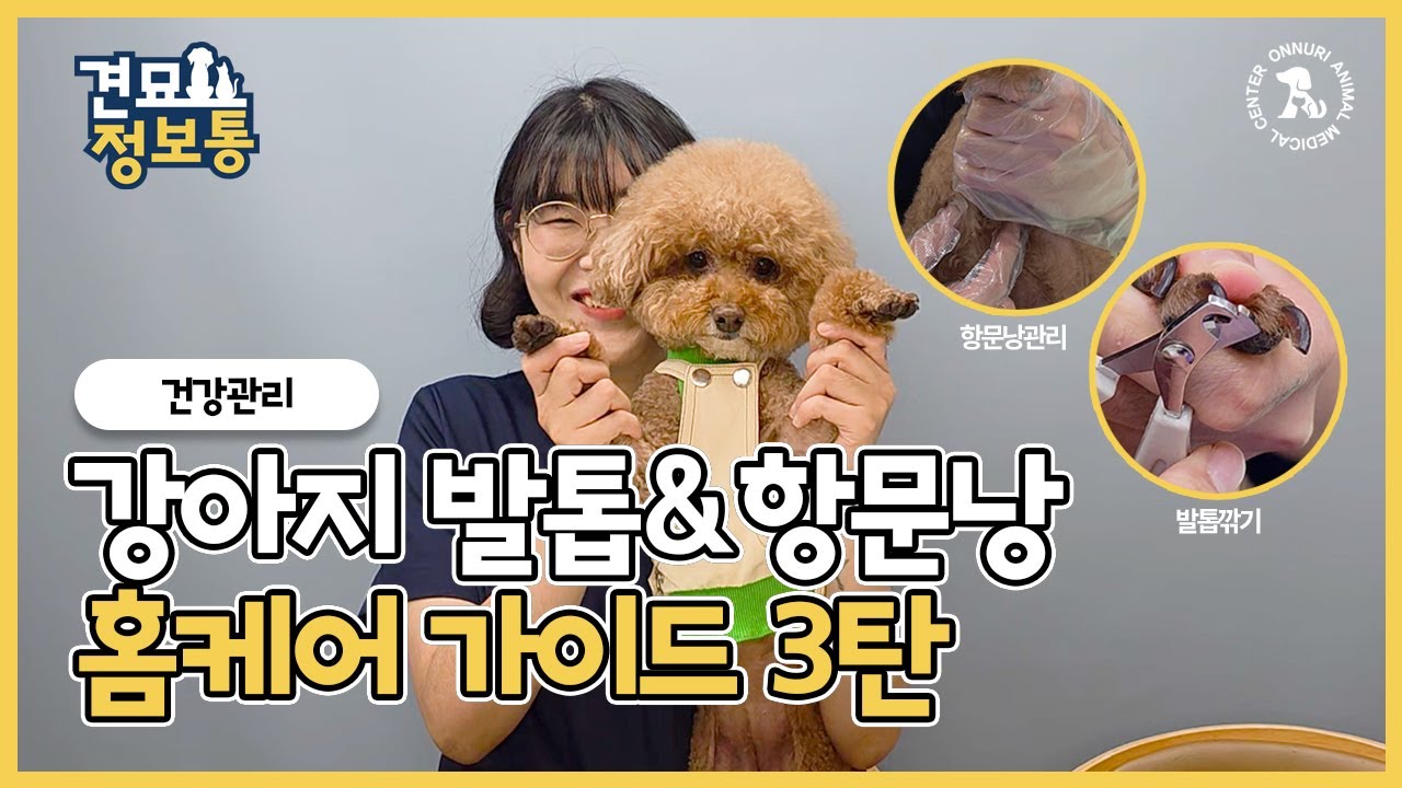 강아지 발톱깎기 & 항문낭 짜기 꿀팁! 초보 보호자도 쉽게 따라하는 방법