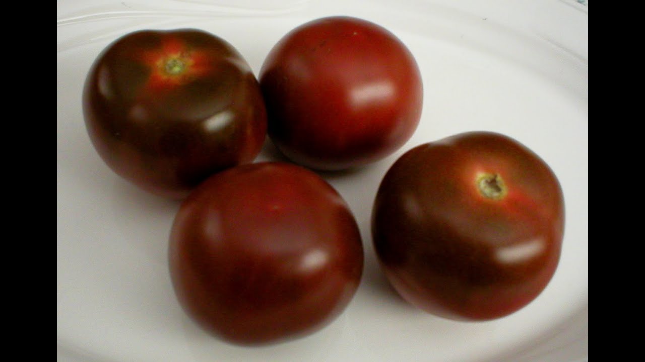 Kumato 101 - About Kumato Tomatoes