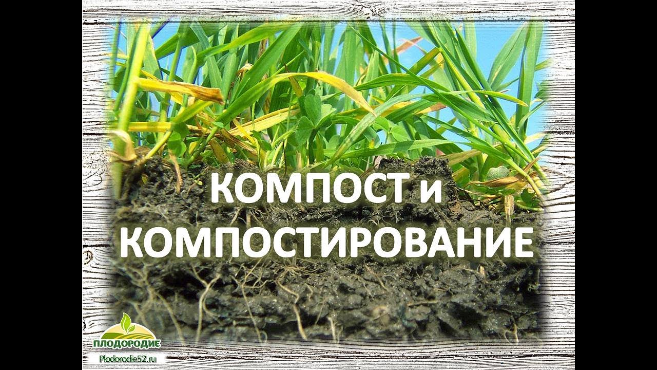 3 Секрет плодородия - Компост
