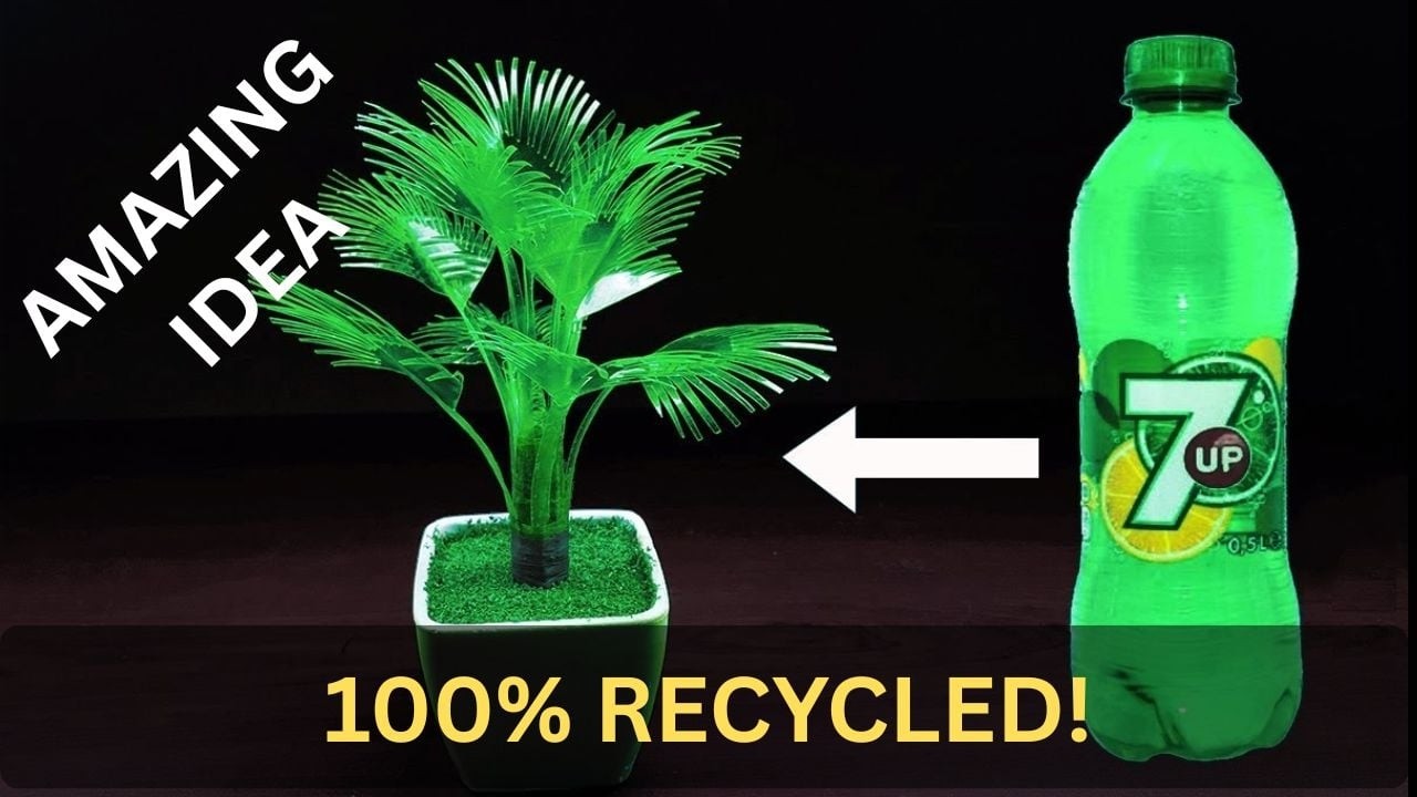 বোতল দিয়ে নাইস আইডিয়া || Crafts With Plastic Bottle