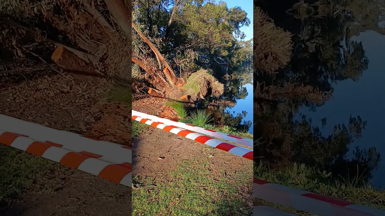 Mini tornado hit's Werribee river, All my feathered friends are okay 👍.