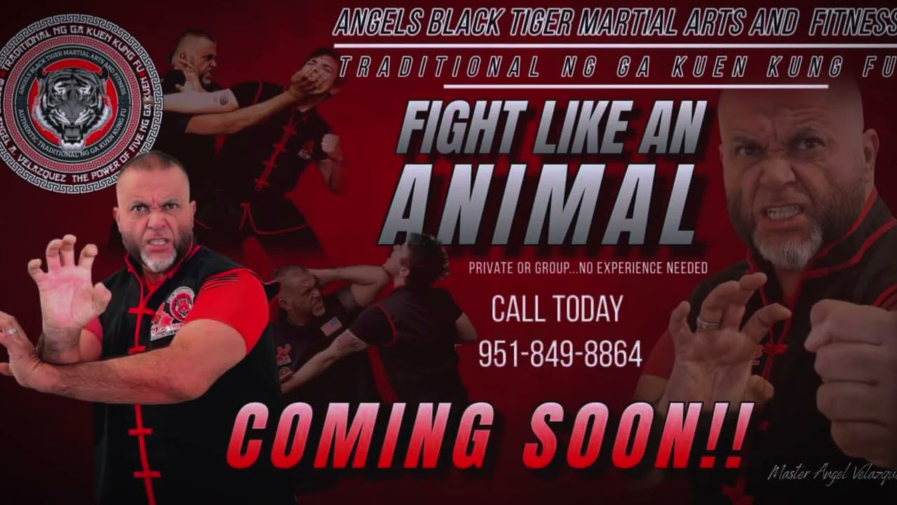 #nggakuen FIGHT LIKE AN ANIMAL #kungfu #kungfupros #fightingsport