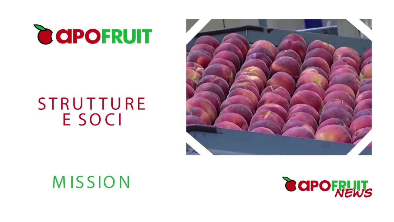 La cooperativa Apofruit Italia