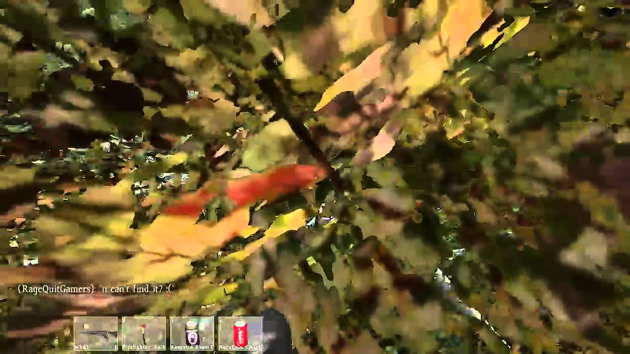 DayZ - Lost My Gun in a Berry Bush
