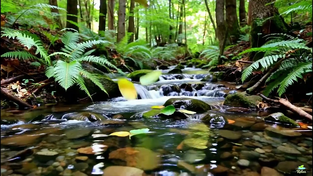 Deep Sleep Therapy with Natural Sounds 🌿 Stress Relief, Insomnia & Focus Healing
