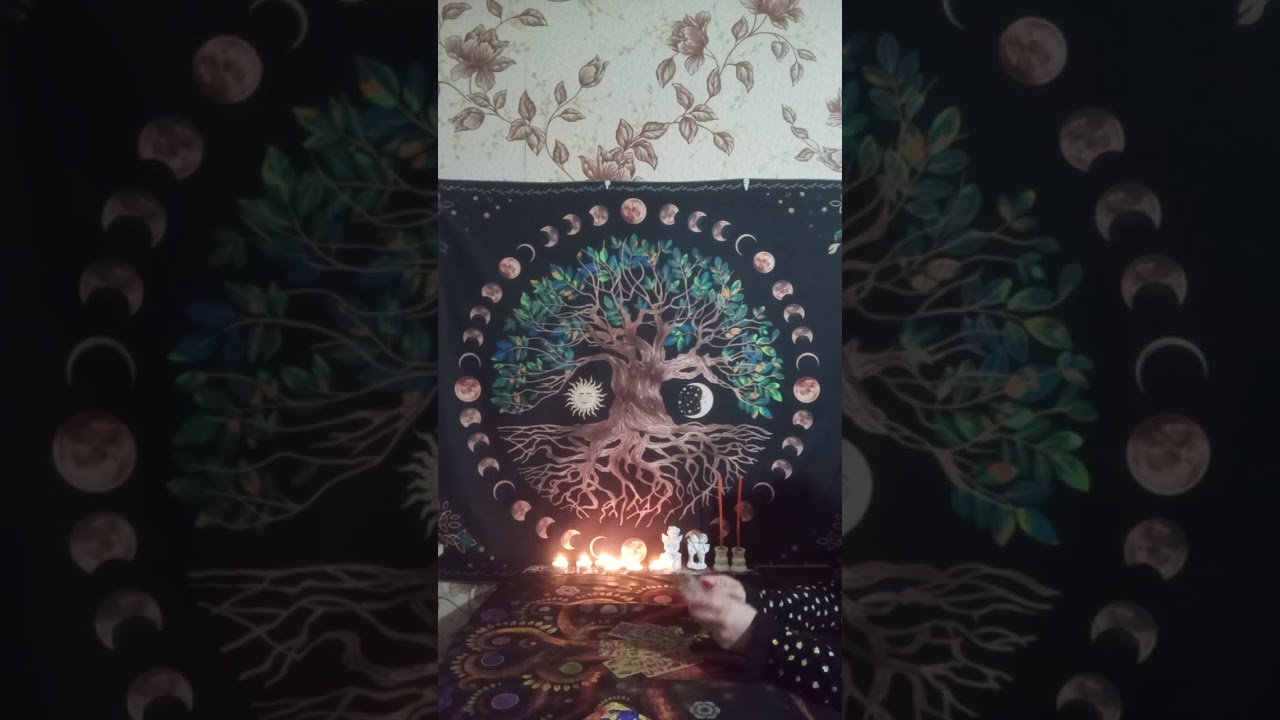 ✨ТАРО ДЛЯ МУЖЧИН. Чем порадует начало февраля месяца#tarot #мыслимужчинытаро ✨