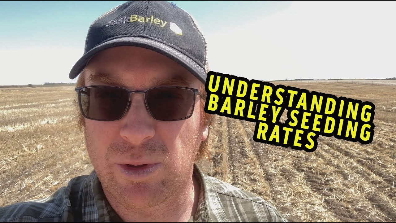 Understanding Barley Seeding Rates