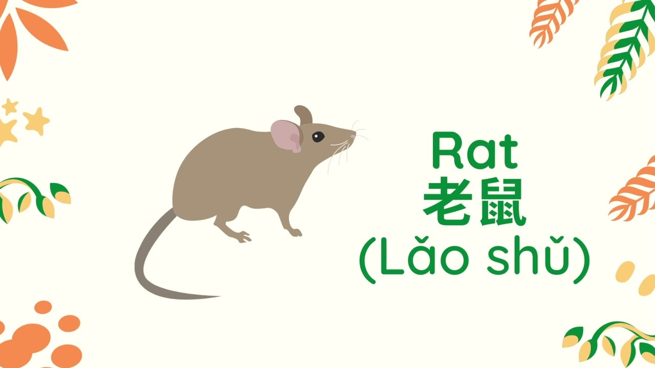 Learn Chinese - Farm and Zoo Animals (農場和動物園的動物)