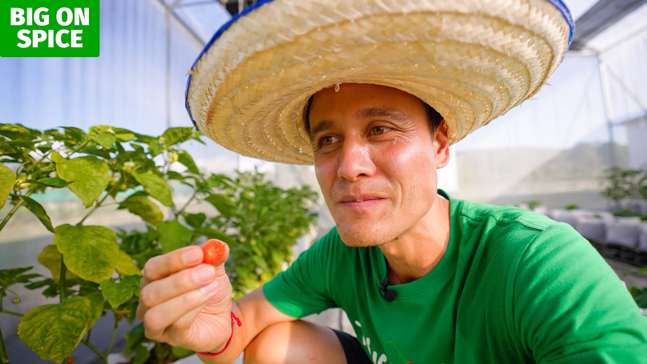 Я съел ПРИЗРАЧНЫЙ ПЕРЕЦ!! 🌶️ Настоящая органическая ферма в Чиангмае, Таиланд!