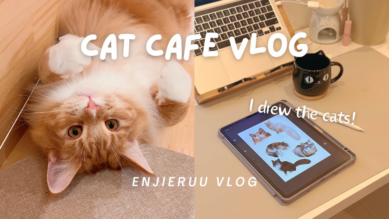Unwinding at a Cat Cafe in Osaka, Japan | Solo Cat Cuddles & Sketches!